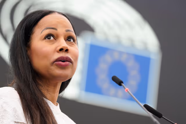 Photo 34: EP Plenary session - Joint Debate - Disability cards