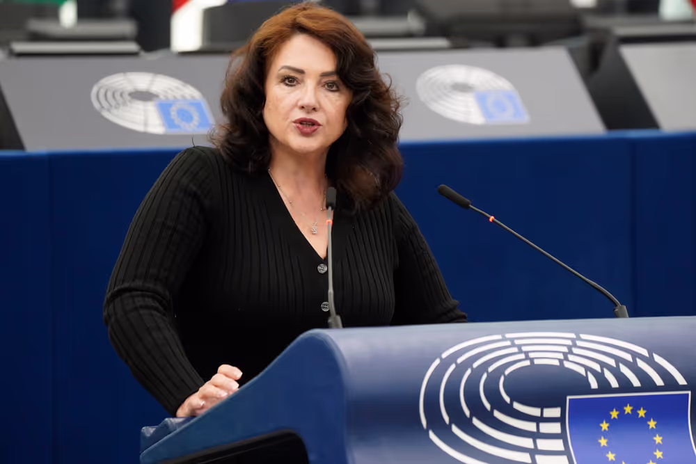 EP Plenary session - Joint Debate - Disability cards