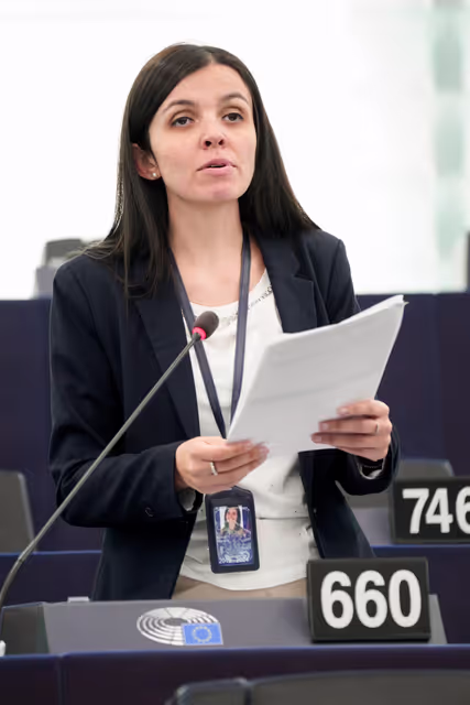 Photo 9: EP Plenary session - Joint Debate - Disability cards