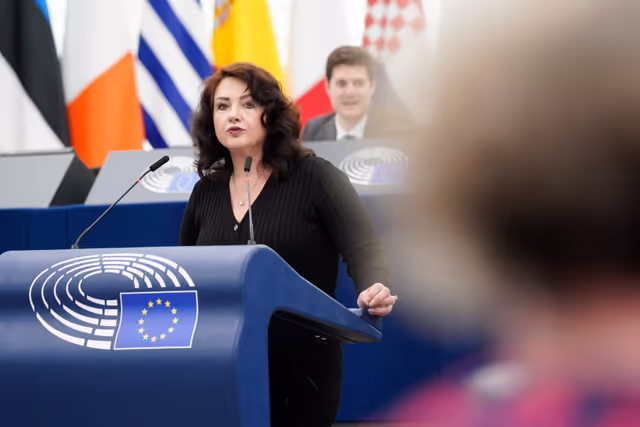 Photo 4: EP Plenary session - Joint Debate - Disability cards