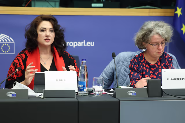 Fotografia 31: EMPL CRPD Network meeting