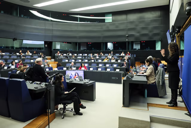 Fotografia 27: EMPL CRPD Network meeting