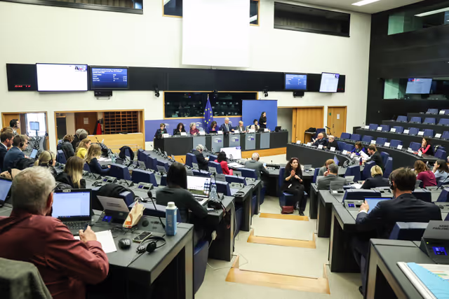 Fotografia 12: EMPL CRPD Network meeting