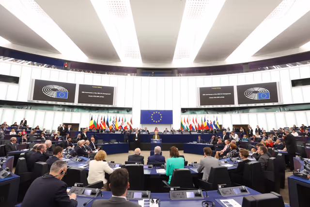 Fotografie 50: EP Plenary session - 20th Anniversary of the 2004 EU Enlargement