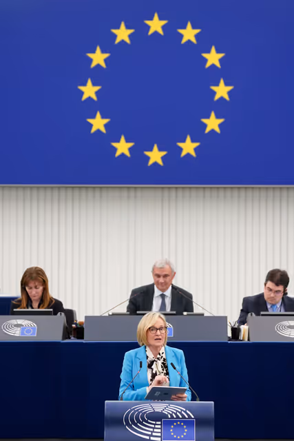 Photo 31 : EP Plenary session - Joint debate - Anti Money Laundering