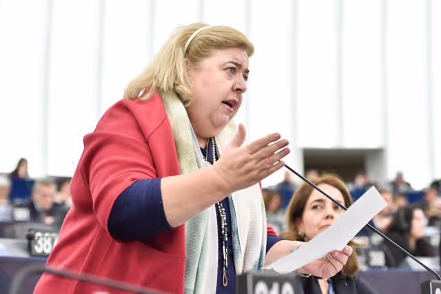EP Plenary session - Voting session