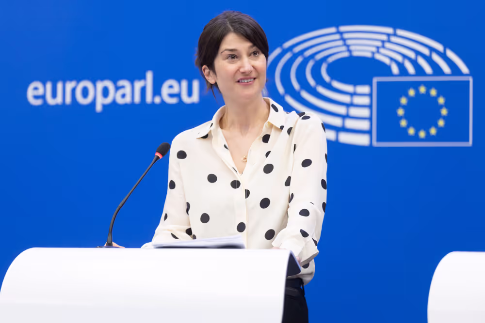 Press conference on the first EU due diligence rules