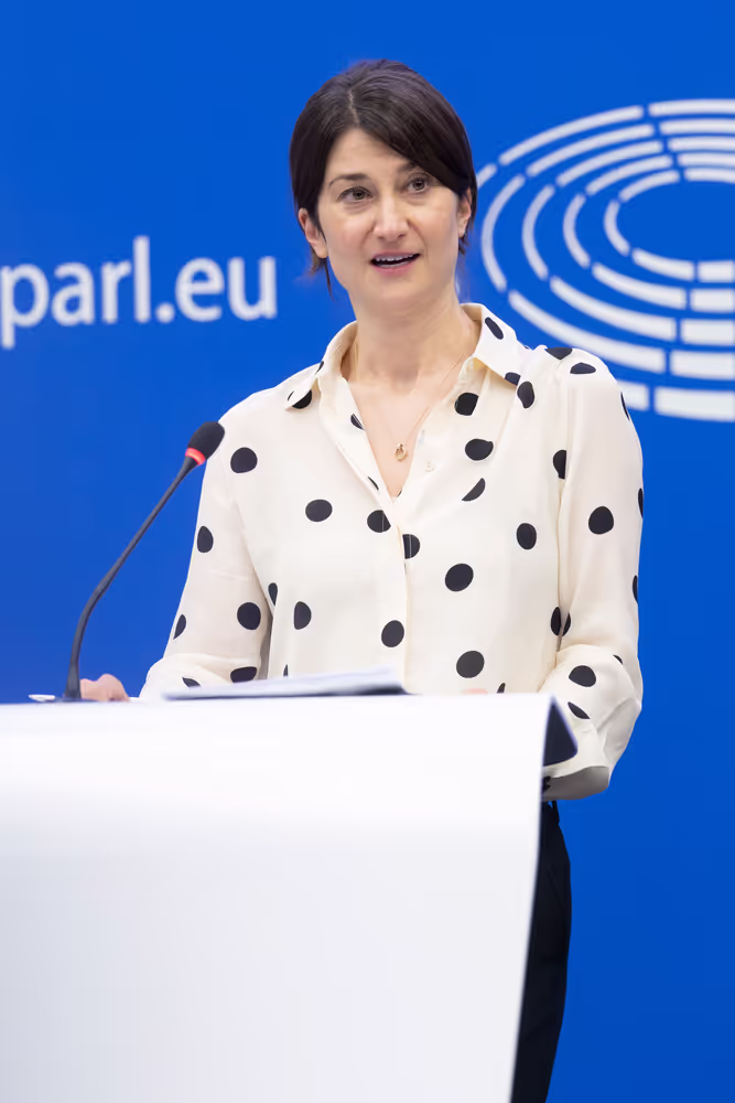 Press conference on the first EU due diligence rules