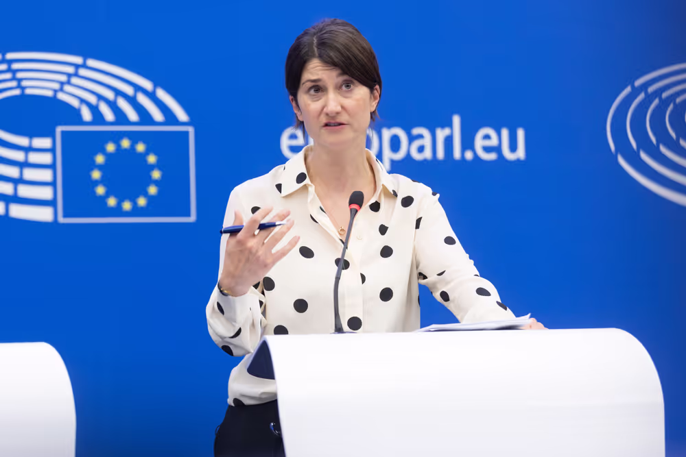 Press conference on the first EU due diligence rules