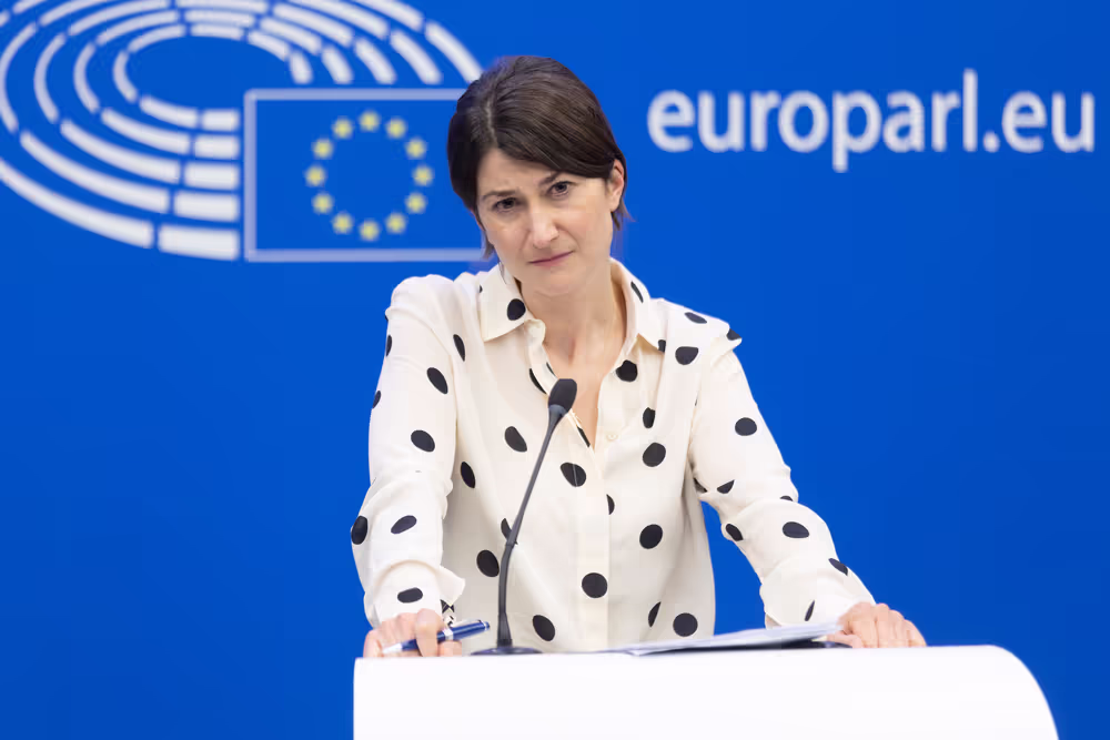 Press conference on the first EU due diligence rules