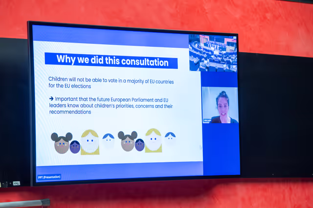 Fotografija 3: EMPL - Working Group on the European Child Guarantee