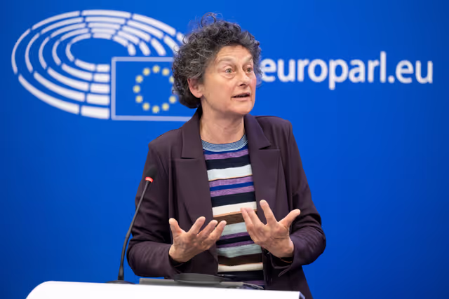 Fotografia 2: Press conference on EU-Egypt: a strategic partnership for whom?