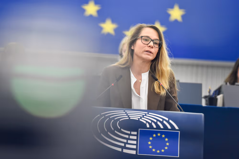 EP Plenary session - Interinstitutional Body for Ethical Standards