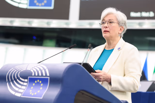 Valokuva 7: EP Plenary session - Pre-enlargement reforms and policy reviews