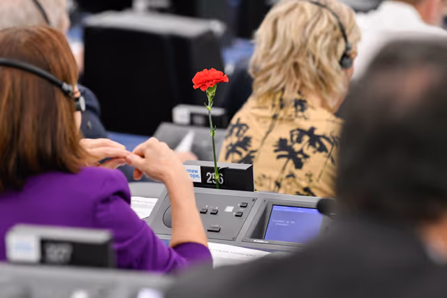 Foto 49: EP Plenary session - Voting session