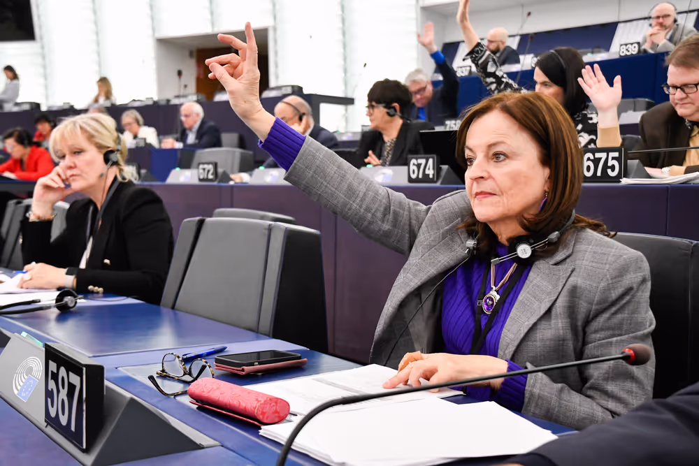 EP Plenary session - Voting session