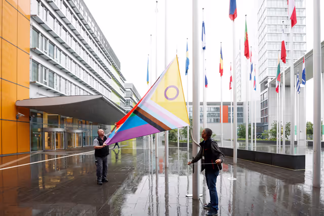 Fotografia 34: International Day Against Homophobia, Biphobia, Intersexism and Transphobia (IDAHOBIT) - Rainbow flag next to the EP buildings