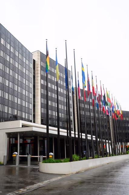 Fotografia 3: International Day Against Homophobia, Biphobia, Intersexism and Transphobia (IDAHOBIT) - Rainbow flag next to the EP buildings