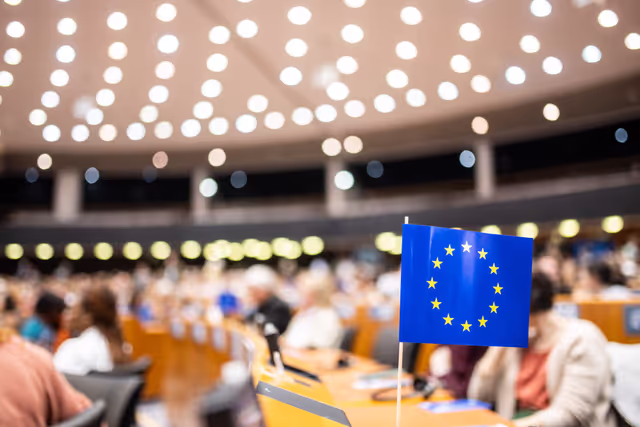 Fotografija 10: Open Day at the European Parliament in Brussels