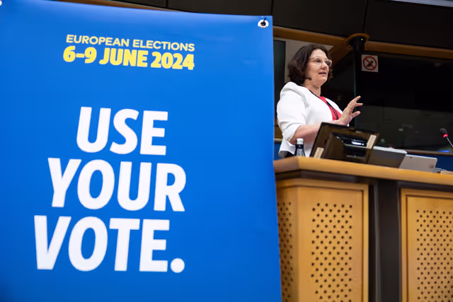 Fotagrafa 22: EPAS seminar for teachers on 2024 on European Elections