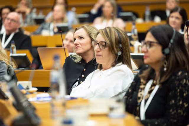 Photo 2: EPAS seminar for teachers on 2024 on European Elections