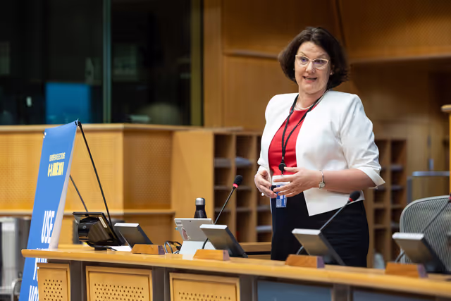 Fotagrafa 26: EPAS seminar for teachers on 2024 on European Elections