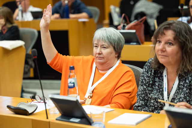 Fotagrafa 8: EPAS seminar for teachers on 2024 on European Elections