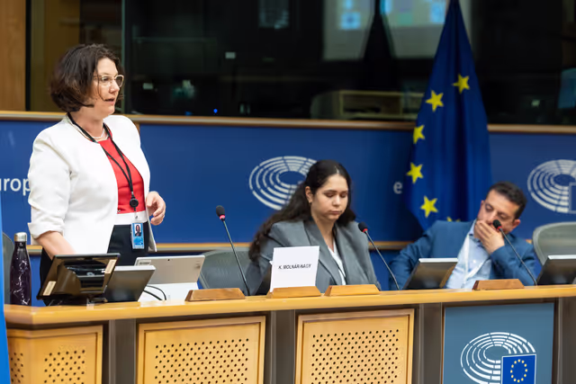 Fotagrafa 5: EPAS seminar for teachers on 2024 on European Elections