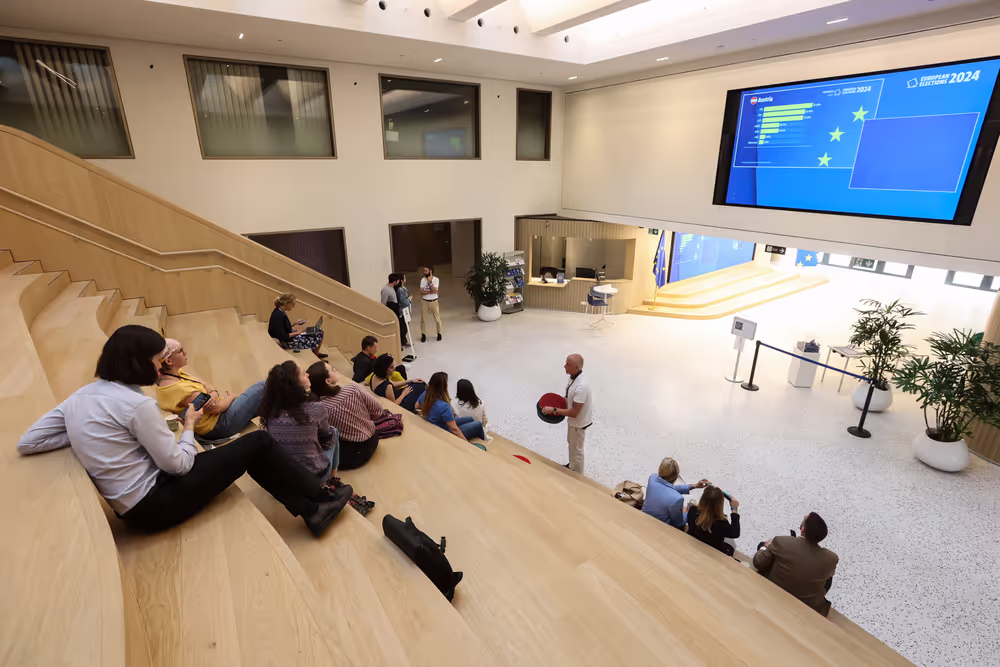 European Elections Night 2024