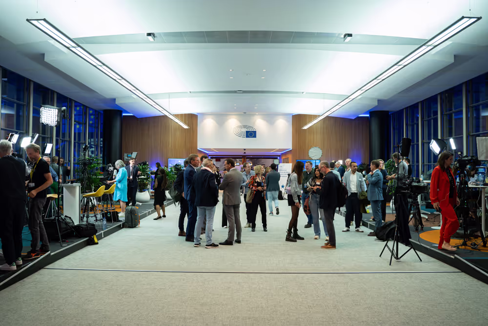 European Elections Night 2024