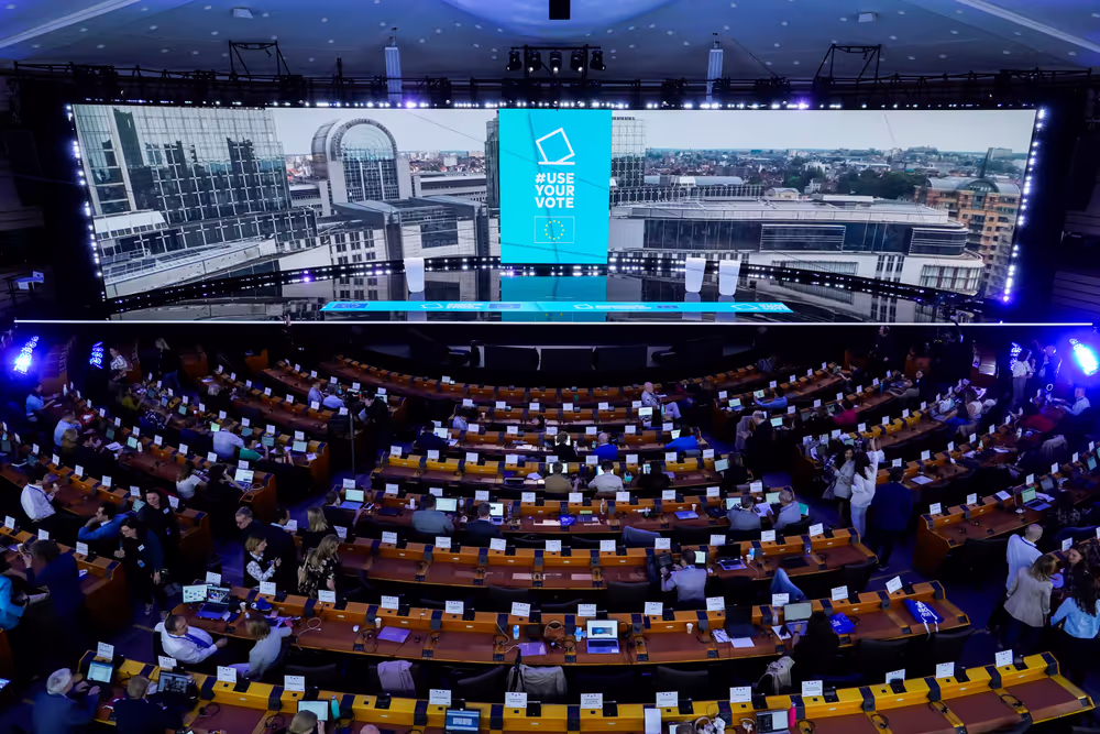 European Elections Night 2024