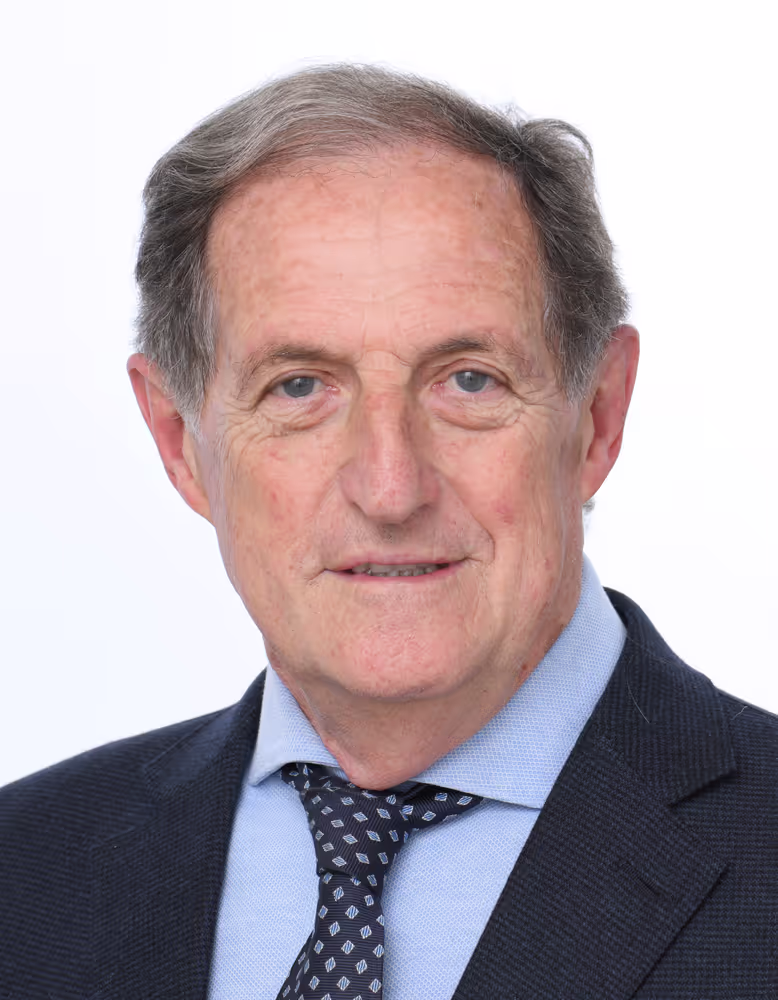 Italian MEPs official portraits - 10th Parliamentary term