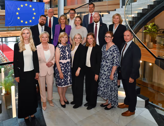 Fotografi 3: Finnish MEPs group photo