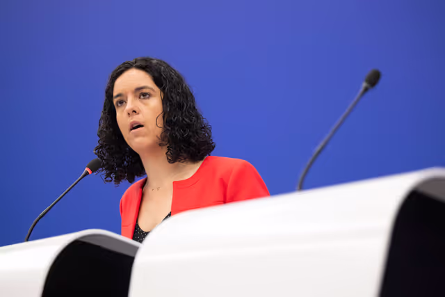 Φωτογραφία 13: Press briefing The Left