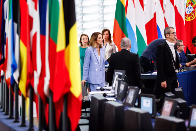 Снимка 46: EP Plenary session - Elections of Quaestors of Parliament