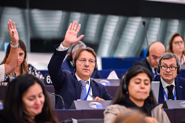 Foto 12: EP Plenary session - Voting session