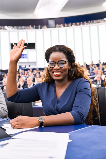 Foto 27: EP Plenary session - Voting session
