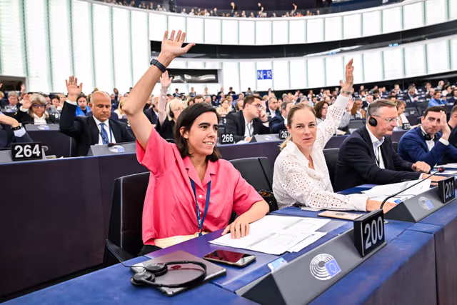 Foto 25: EP Plenary session - Voting session