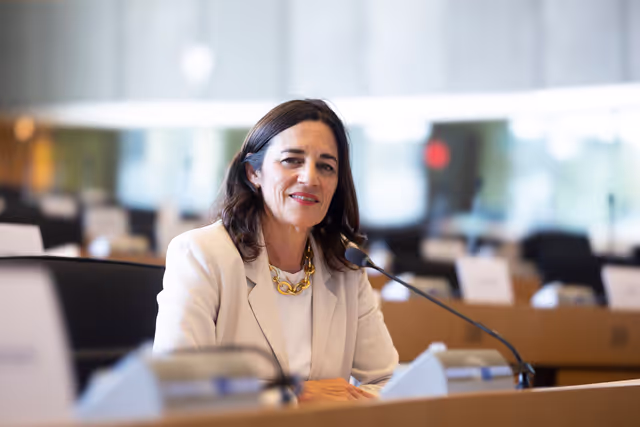 Fotó 13: Laurence FARRENG in the EP in Brussels