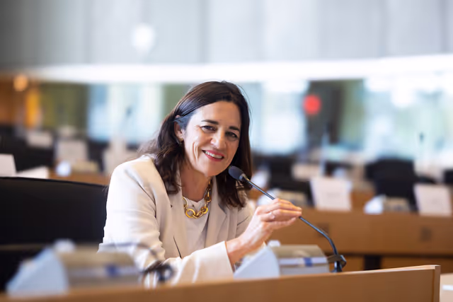 Fotó 12: Laurence FARRENG in the EP in Brussels