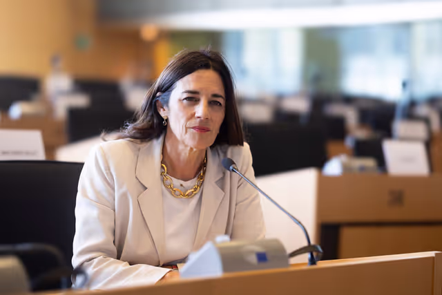 Fotó 9: Laurence FARRENG in the EP in Brussels