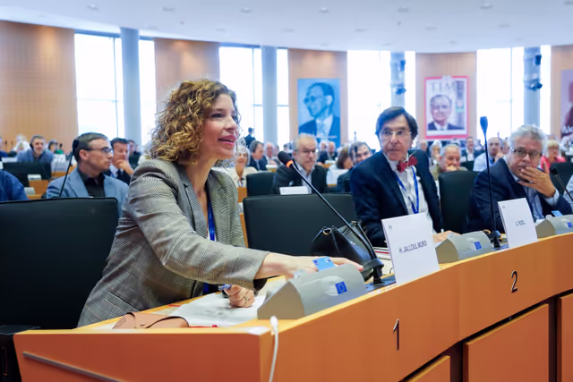 Fotografija 27: AFET Committee constitutive meeting