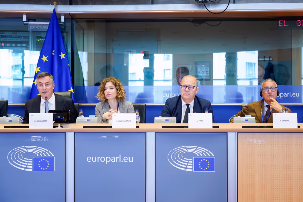 AFET Committee constitutive meeting