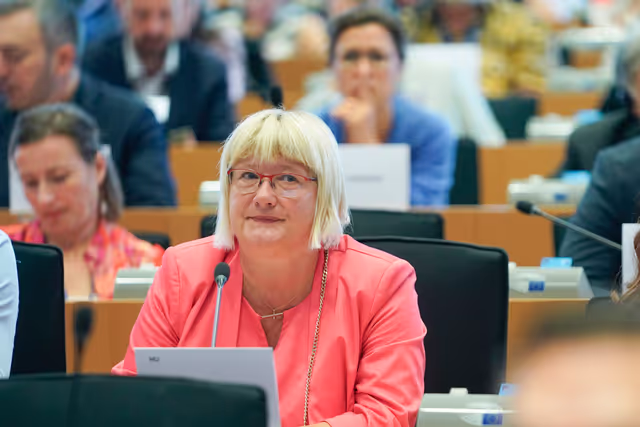 Fotografija 7: AFET Committee constitutive meeting