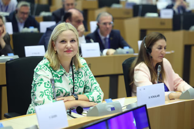 Photo 17 : ECON Committee constitutive meeting