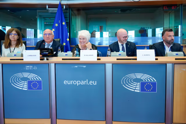 Φωτογραφία 7: LIBE Committee constitutive meeting