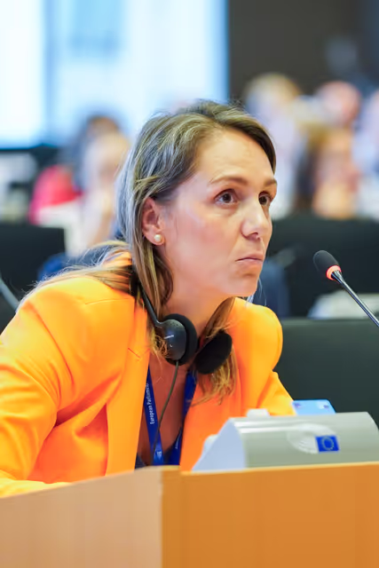 Foto 21: PETI Committee constitutive meeting