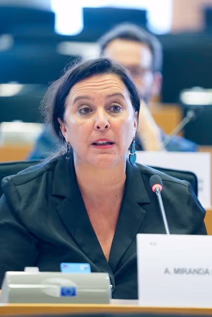 Foto 17: PETI Committee constitutive meeting