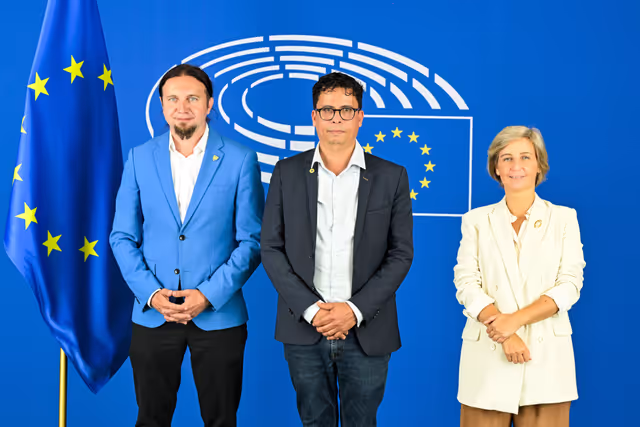 Nuotrauka 17: DROI Committee constitutive meeting