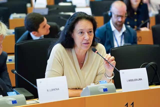 Nuotrauka 21: DROI Committee constitutive meeting